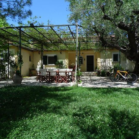Theni Olive Grove Villa Κάτω Γερακάρι Εξωτερικό φωτογραφία