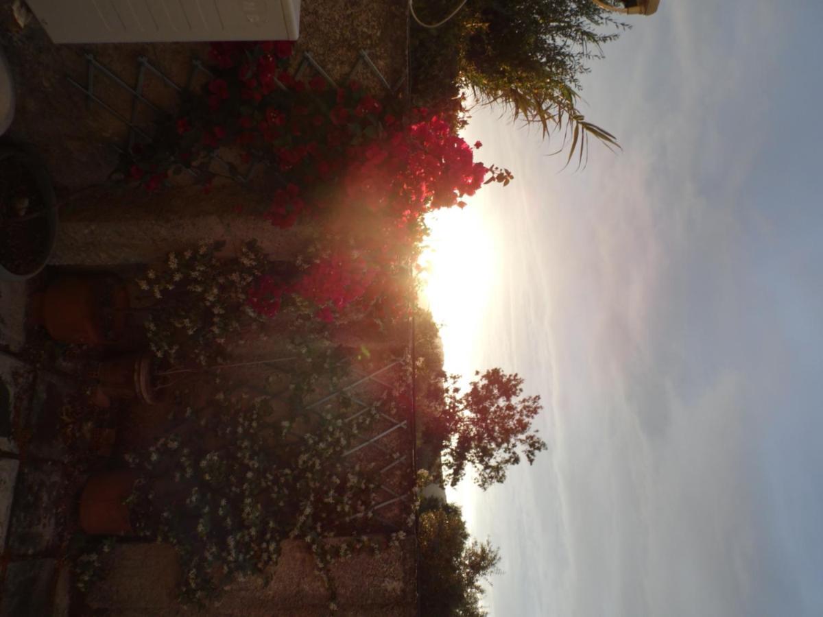 Theni Olive Grove Villa Κάτω Γερακάρι Εξωτερικό φωτογραφία