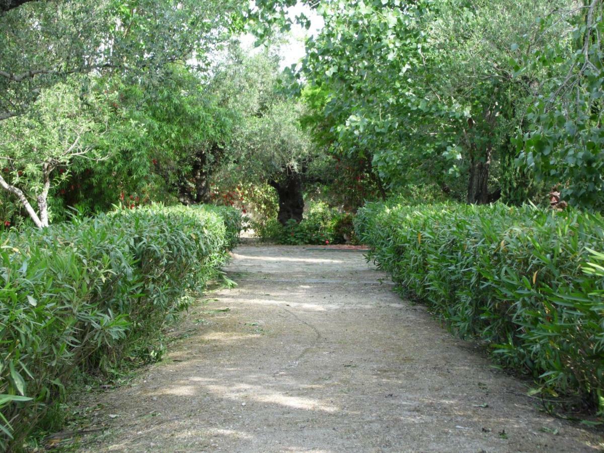 Theni Olive Grove Villa Κάτω Γερακάρι Εξωτερικό φωτογραφία