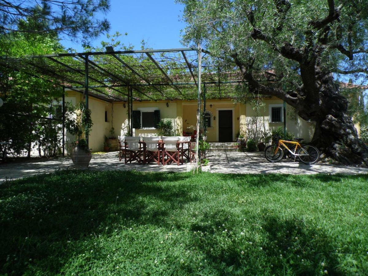 Theni Olive Grove Villa Κάτω Γερακάρι Εξωτερικό φωτογραφία
