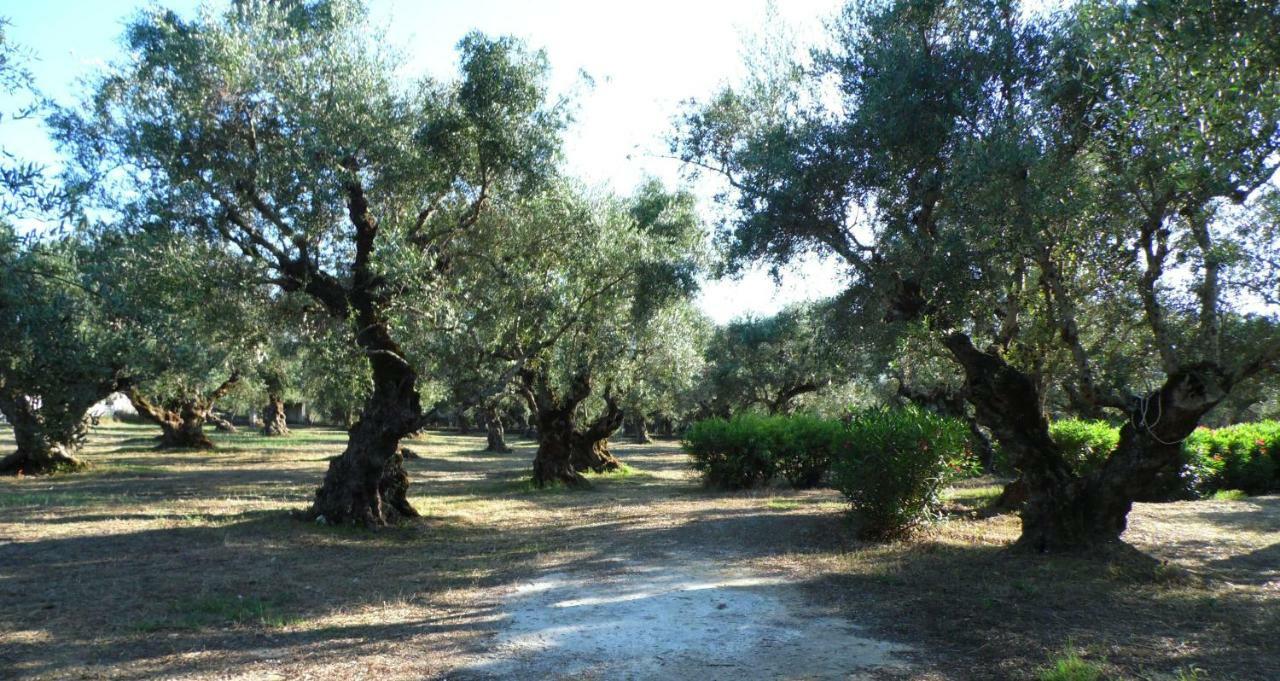 Theni Olive Grove Villa Κάτω Γερακάρι Εξωτερικό φωτογραφία