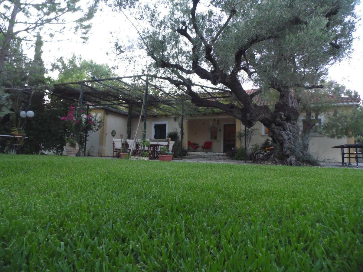 Theni Olive Grove Villa Κάτω Γερακάρι Εξωτερικό φωτογραφία